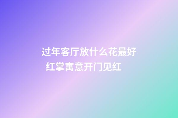 过年客厅放什么花最好  红掌寓意开门见红